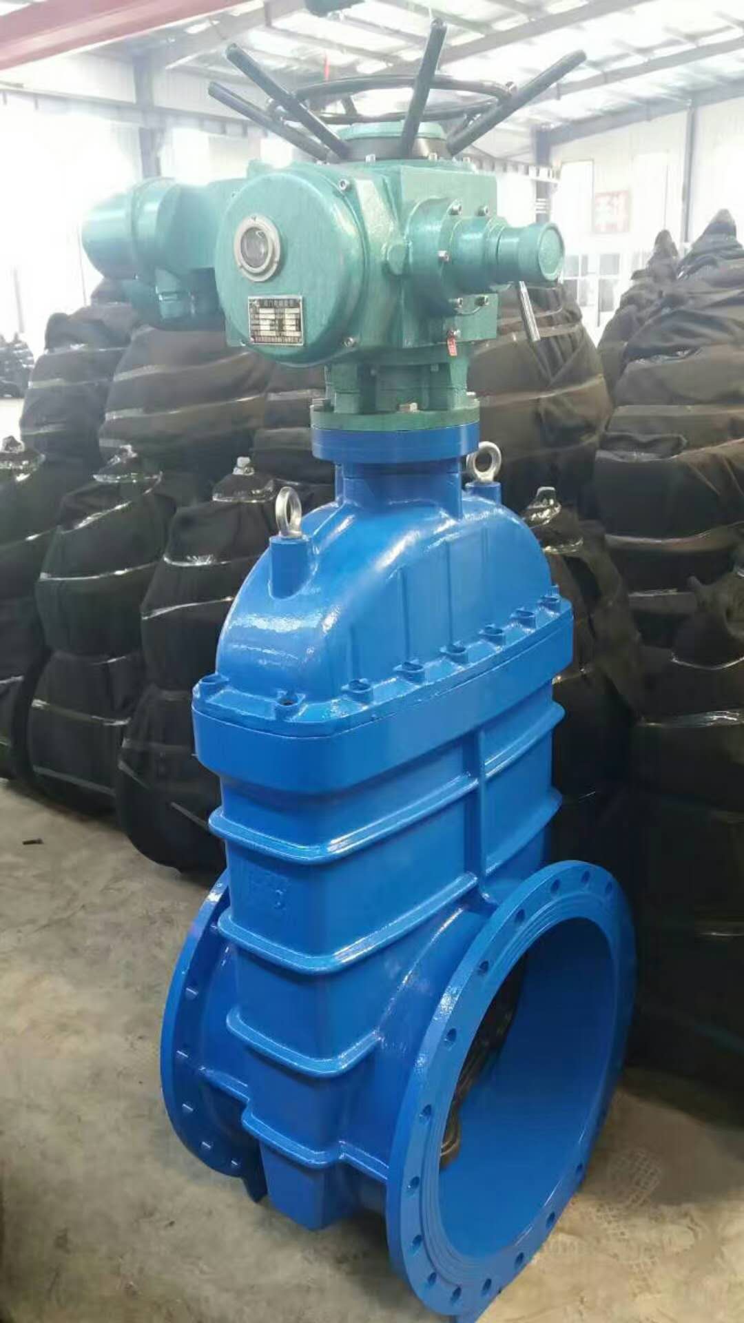 soft sealing gate valve